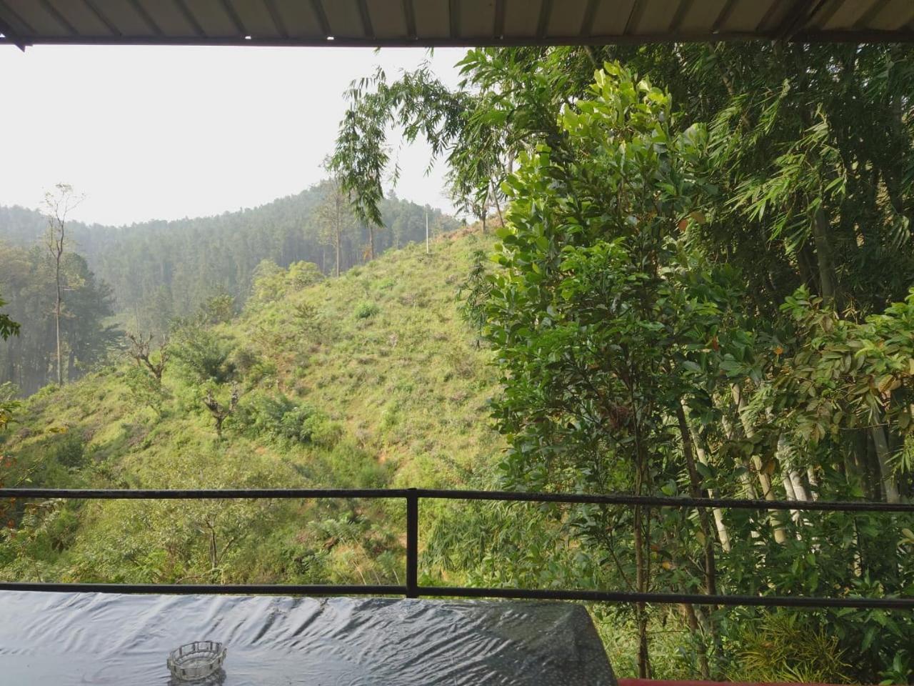 Windy Nest Apartment Ела Екстериор снимка